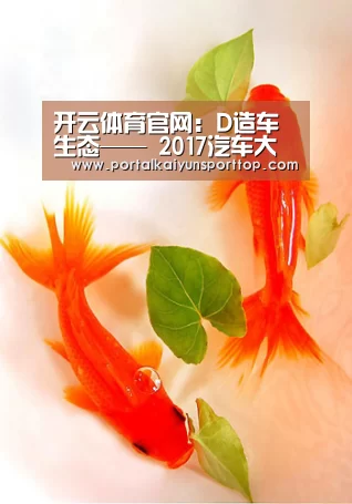 开云体育官网