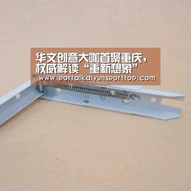 华文创意大咖首聚重庆,权威解读“重新想象” ——2018第十三届4A金印奖终审会圆满落幕-开云官网(图2) 开云体育官方入口